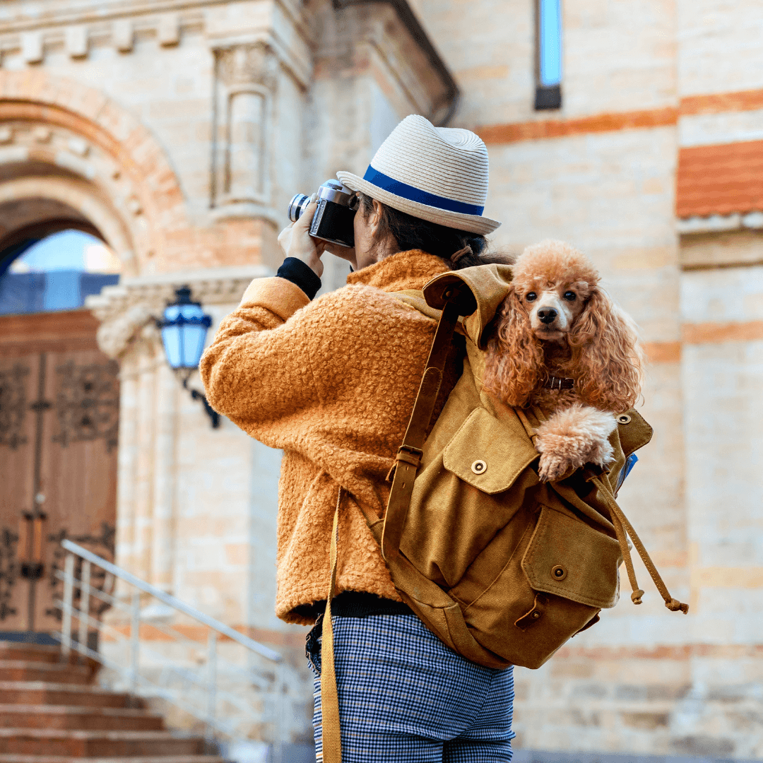 Une femme portant un sac à dos avec un chien à l'intérieur, souriante et profitant d'une promenade en plein air.