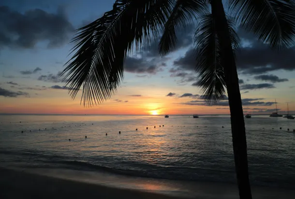 A beach in Barbados with a magnificent sunset with the sea in the background and a palm tree in the foreground.