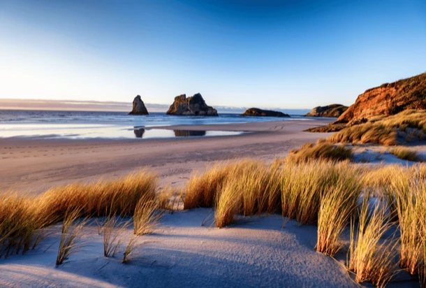 A sandy beach with tall grasses and rocks, offering a peaceful and picturesque natural landscape.