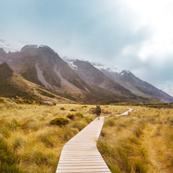 When do you need cash in New Zealand?