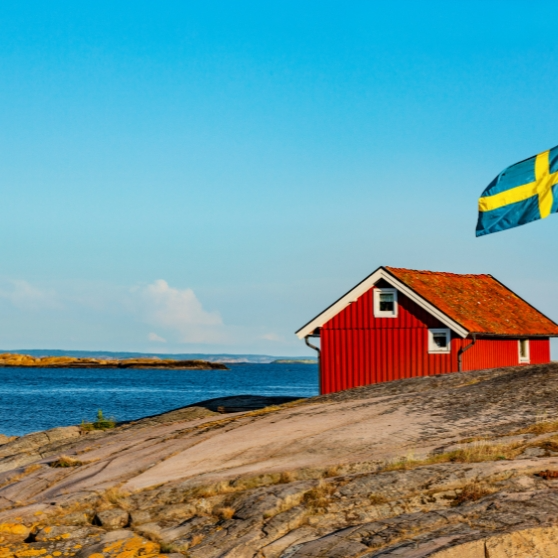 When do you need cash in Sweden?