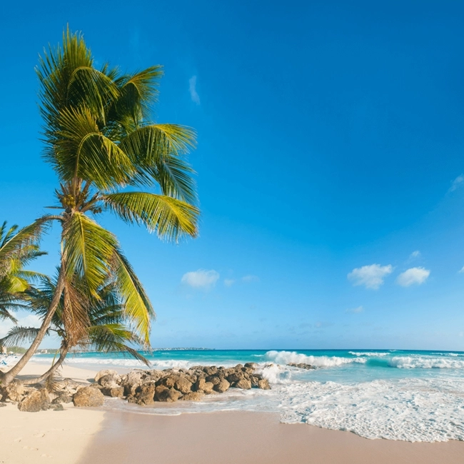 The image shows a tropical beach with clear blue skies, a few palm trees, and waves crashing onto the sandy shore. It’s a serene and picturesque natural landscape, perfect for a relaxing getaway.